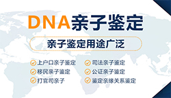 梧州血缘检测哪里做的准