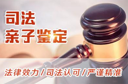 梧州正规的司法DNA亲子鉴定机构去哪里,梧州司法亲子鉴定费用需要多少