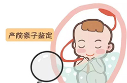 梧州胎儿亲子鉴定的流程，梧州怀孕亲子鉴定出结果要多久